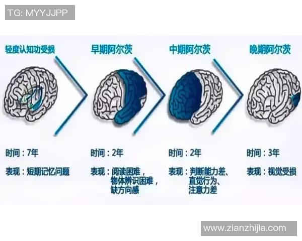 海等海默与纽伦堡的对决分析与战术探讨